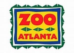 Watch the Panda&#039;s at Zoo Atlanta
