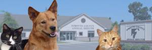 Forsyth County Animal Shelter Recognized for Excellence