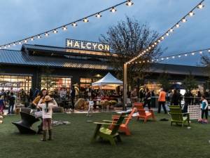 Halcyon Has Six New Openings