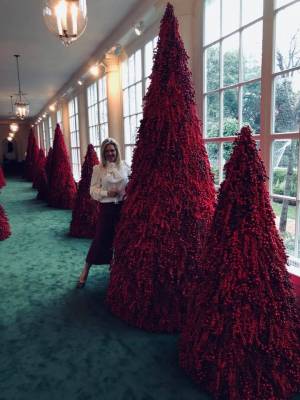 Forsyth Mother of two Decorates The White House